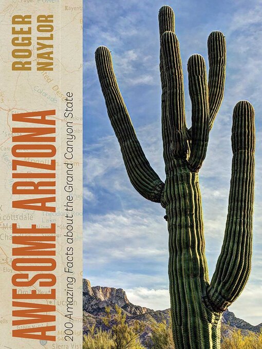 Title details for Awesome Arizona by Roger Naylor - Wait list